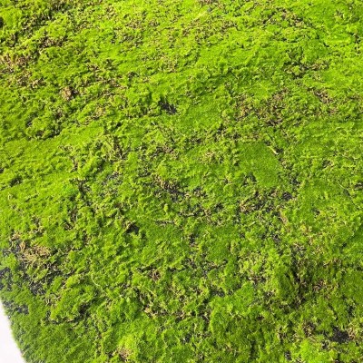 Искусственный мох в рулоне. Дизайн MPA06381